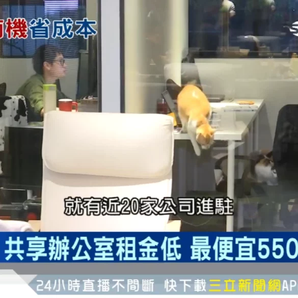 三立新聞：公享商機省成本